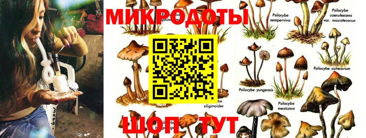 Нефтеюганск  Галлюциногенные грибы Cubensis  Вход с VPN 